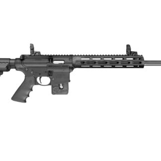Smith and Wesson M&P15-22 PC SPORT 22LR 10+1