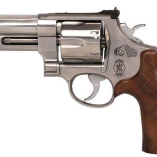 Smith and Wesson 610 MOUNTAIN GUN 10MM 4" SS