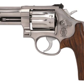 Smith and Wesson 617 MOUNTAIN GUN 22LR 4" SS