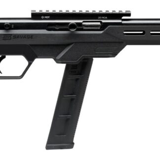 Savage Arms 64 PRECISION 22LR BL/BK 20+1