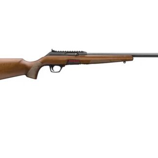 Winchester WILDCAT SPORTER 22LR 18" WD