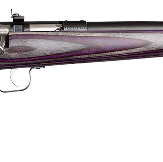 Keystone Sporting Arms CRICKETT 22LR BL/PURPLE LAM