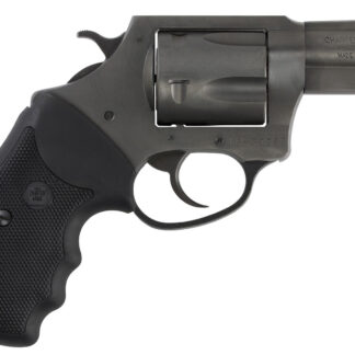 Charter Arms CHARTER PITBULL 40SW NIT 2" FS