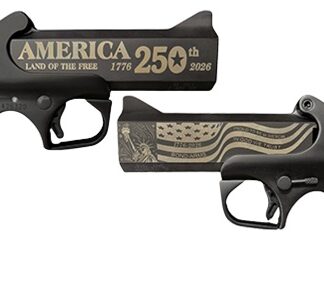 Bond Arms 250TH AMERICA BLK 45/410 4.25#