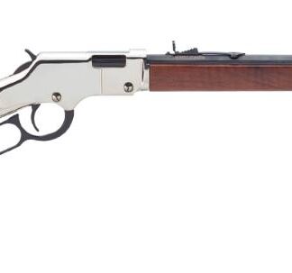 Henry Repeating Arms H4 GOLDEN BOY SILVER 22MAG
