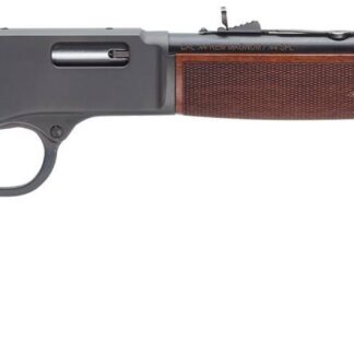Henry Repeating Arms BIG BOY STEEL 41MAG BL/WD