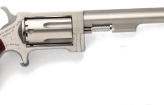 North American Arms SIDEWINDER 22MAG 4" SS       #