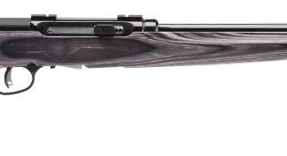 Savage Arms A17 TARGET 17HMR BL/LAM 22"