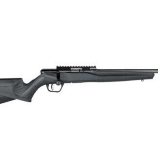 Savage Arms B17 17HMR BL/SYN 16.25" THD