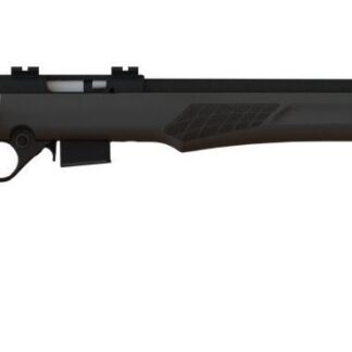 Rossi RB17 17HMR BLK/SYN 21" 5+1