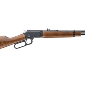 Chiappa Firearms LA322 TAKEDOWN 22LR 18.5" BLK