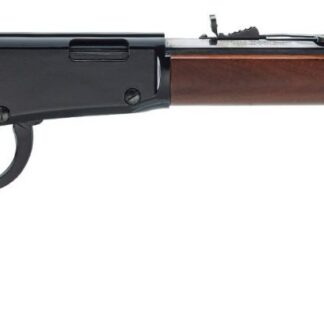 Henry Repeating Arms H1 FRONTIER 17HMR BL/WD 20"