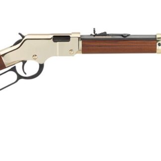 Henry Repeating Arms H4 GOLDEN BOY 22MAG BL/WD