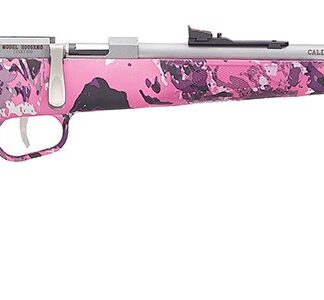 Henry Repeating Arms H5 MINI BOLT G2 22LR SS/MUDDY