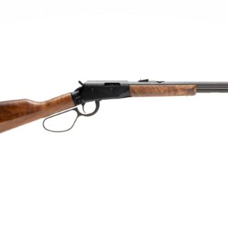 Savage Arms REVEL 22LR 18" WD/BL 12+1