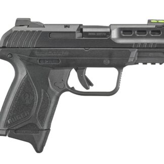 Ruger SECURITY-380 380ACP BLK 15+1
