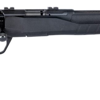 Savage Arms B22 22MAG BLK/SYN 21"