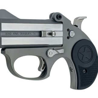Bond Arms STINGER 22LR SS 3" FS