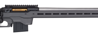 Savage Arms 110 ELITE PRECISION 223REM