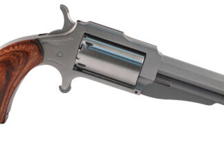 North American Arms THE EARL 22LR/22MAG 3" SS 5SH