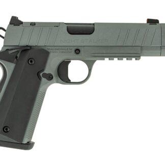 Tisas NIGHT STALKER COMP 10MM GRY  #