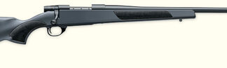 Weatherby VANGUARD S2 YOUTH 22-250 SYN