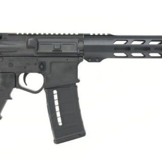 Wise Arms WA-15B 300BLK BLACK 16"