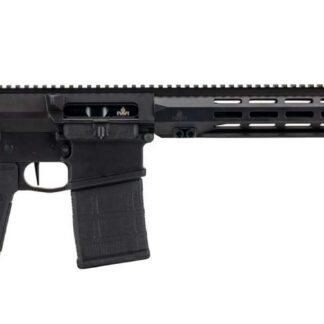 IWI - Israel Weapon Industries ZION-25 308WIN BLK 16" 20RD
